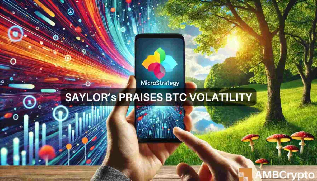 Bitcoin's volatility 'is the price you pay for...' - Michael Saylor