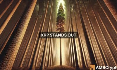 XRP