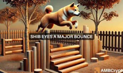 Shiba Inu