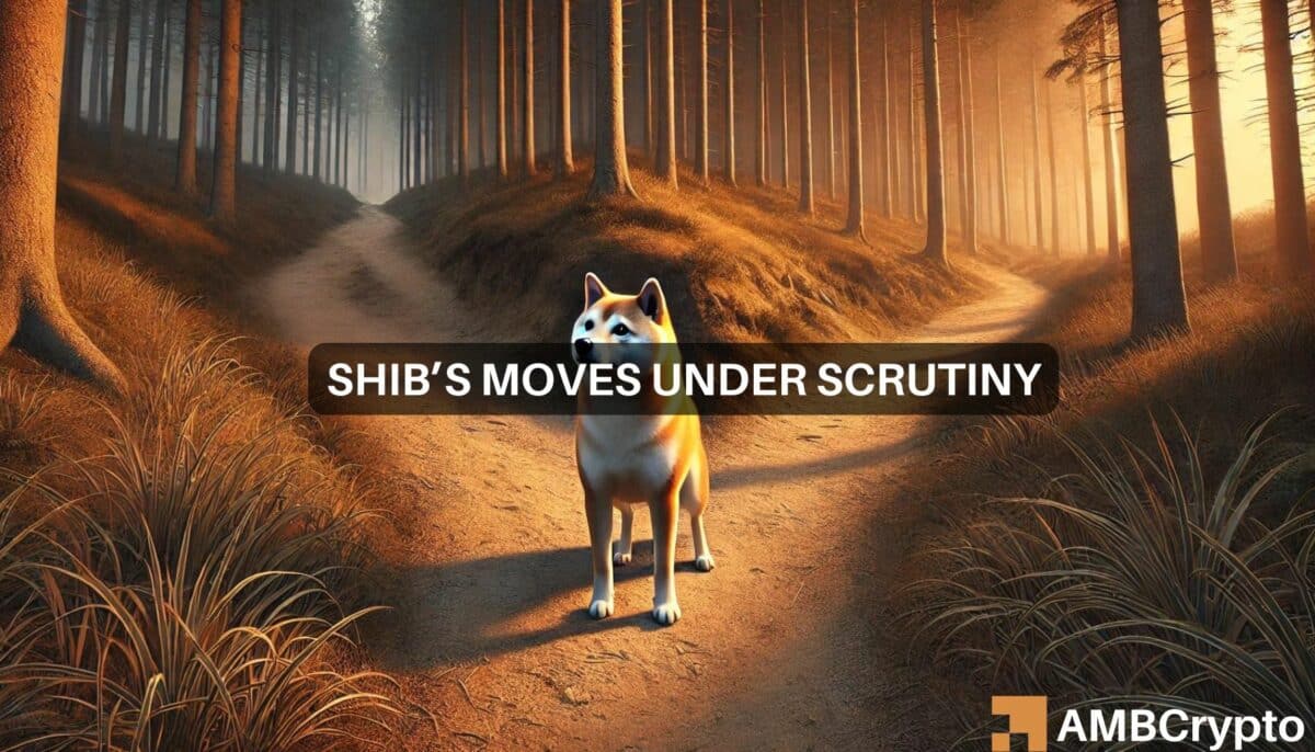 Shiba Inu