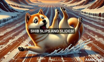 Shiba Inu surges 11% in 48 hours, but SHIB is not out of danger yet