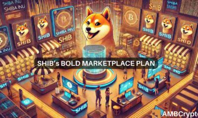 Shiba Inu update