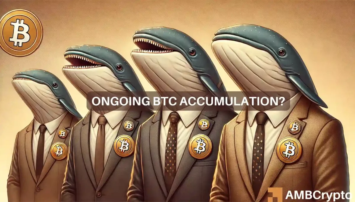 Bitcoin whales show confidence with over $1.7 billion accumulation