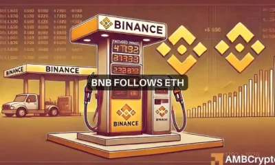 BNB news