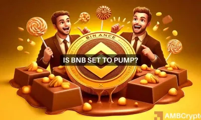 Binance Coin: Why the next 2 weeks will be interesting for BNB