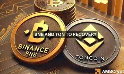 Binance, Toncoin shed gains: A rough start to the week for top cryptos