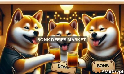 BONK defies broader market pullback