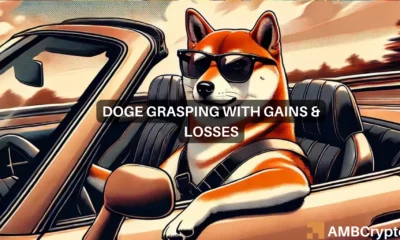 Despite pullback, Dogecoin keeps majority of holders 'In the Money