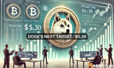 Dogecoin price prediction - Examining the memecoin's road to $0.30