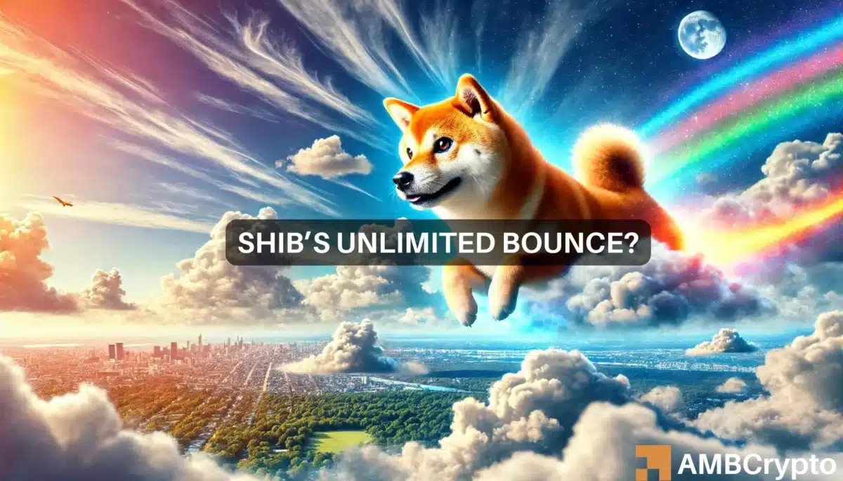 Will Shiba Inu breakout in August? Keep an eye out for THIS level