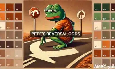 PEPE's reversal odds