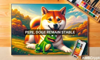 PEPE, Dogecoin remain stable