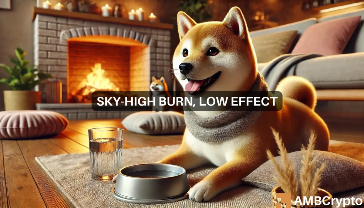 Shiba Inu burn rate peaks: Assessing market impact