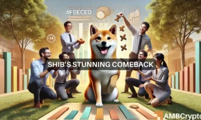 Shiba Inu's stunning comeback