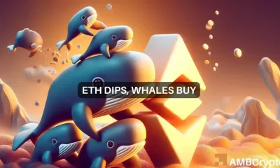 Whales buy ETH Dip